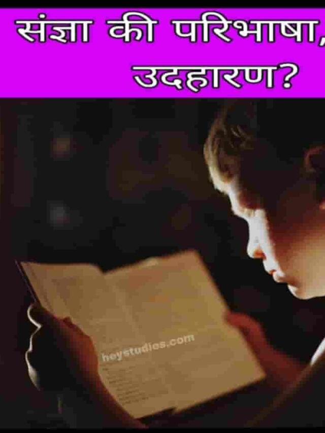 संज्ञा की परिभाषा, भेद, उदाहरण (Sangya Kise Kahate Hain)?